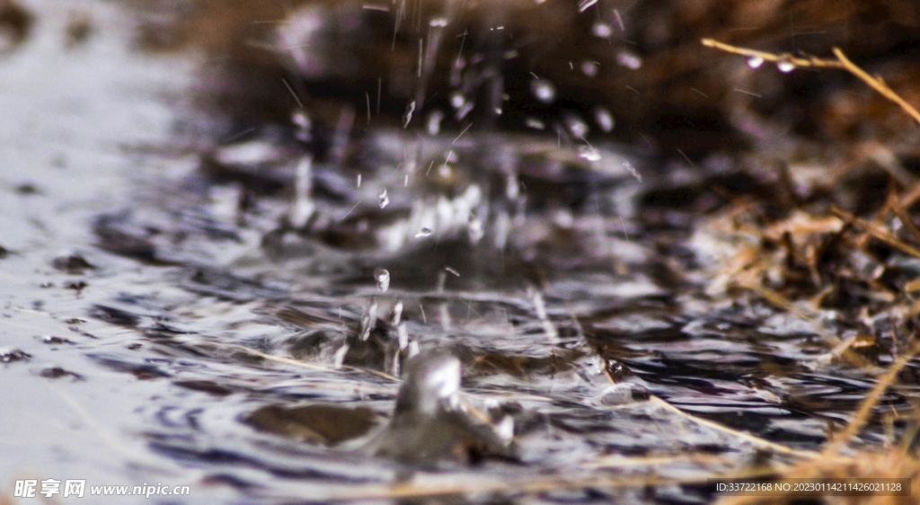 水滴水珠
