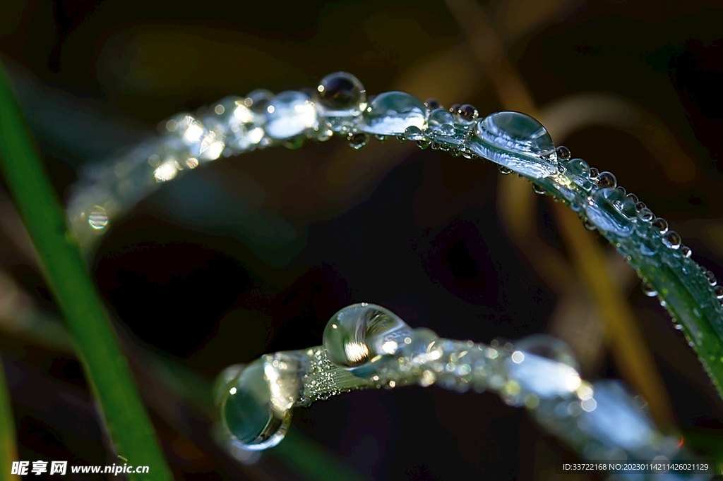 水滴水珠