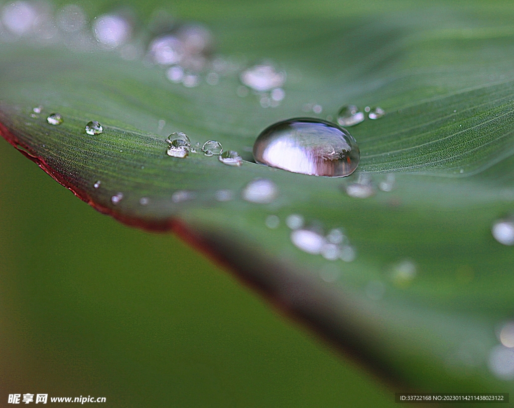 水滴水珠