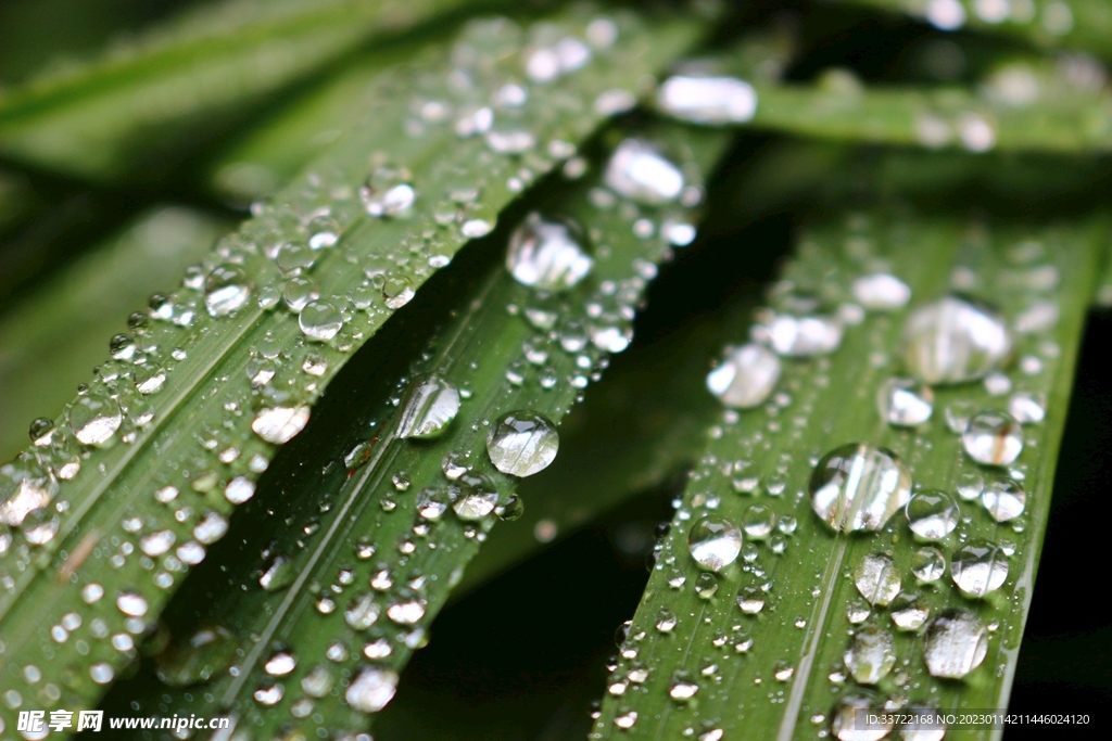 水滴水珠