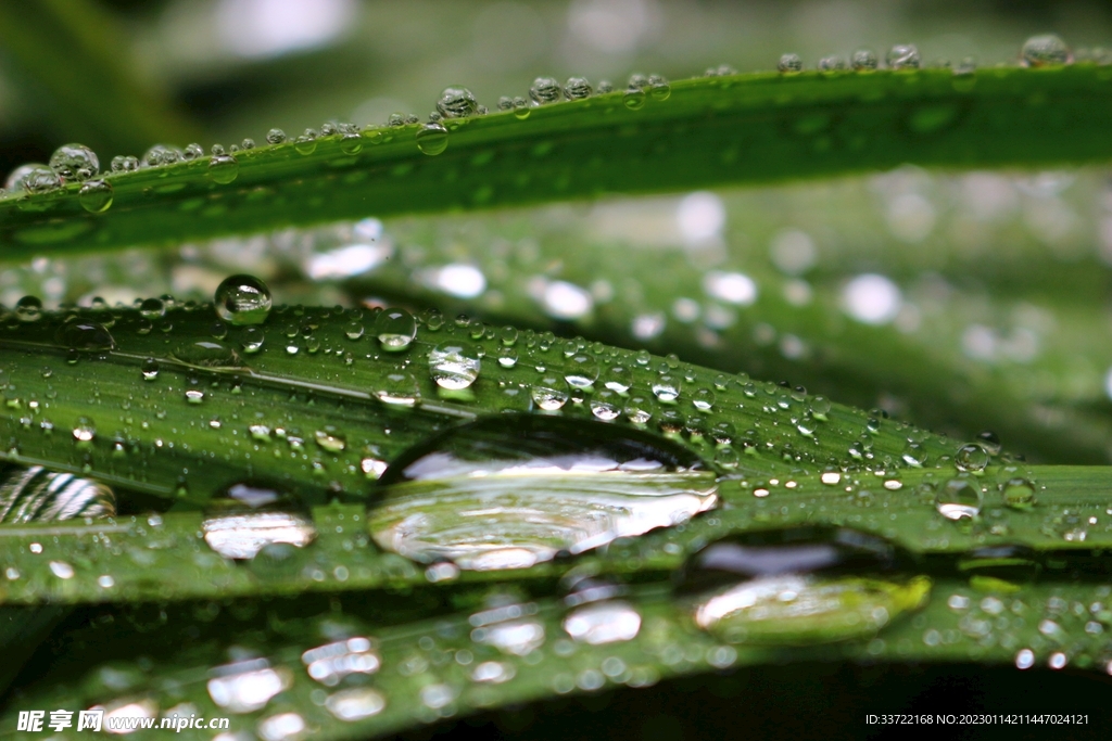 水滴水珠