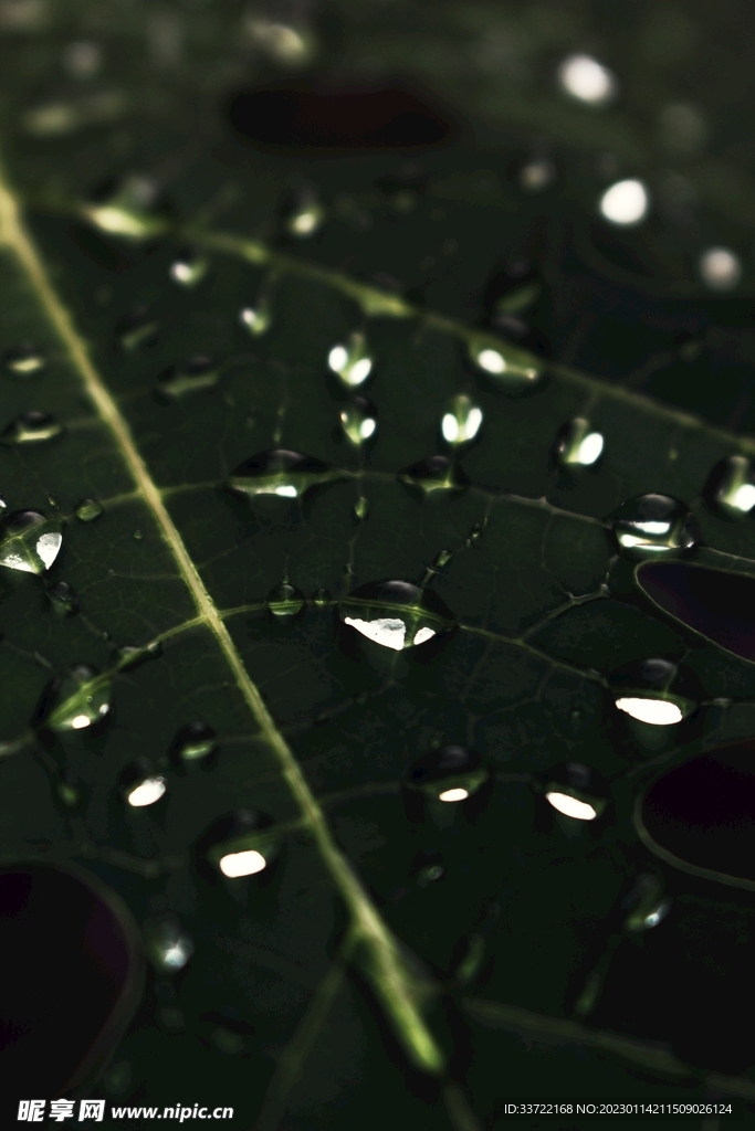 水滴水珠