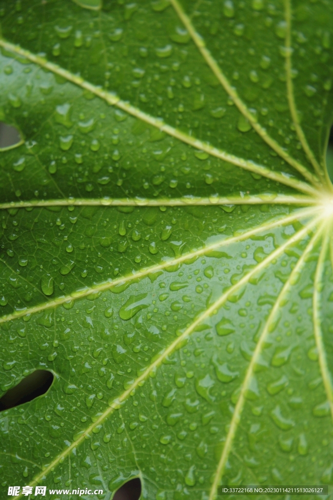 水滴水珠