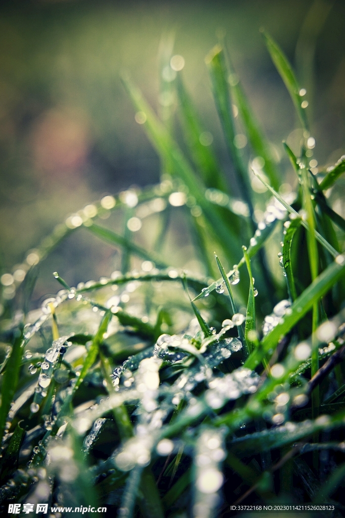 水滴水珠