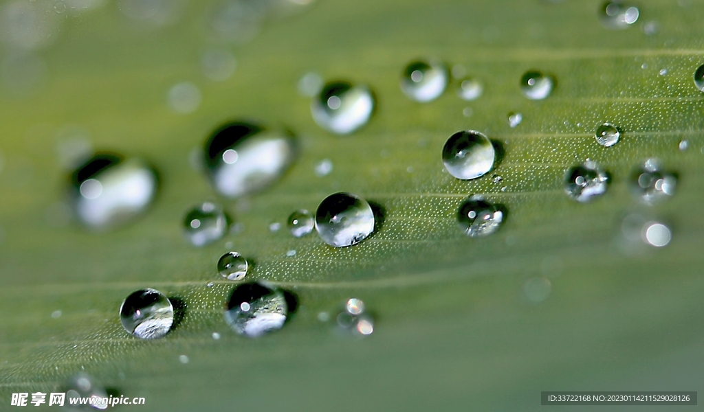 水滴水珠