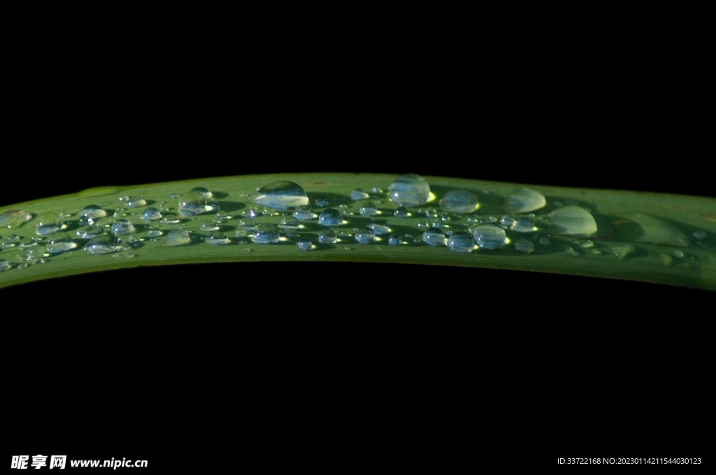 水滴水珠