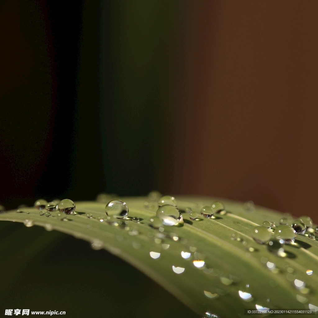 水滴水珠