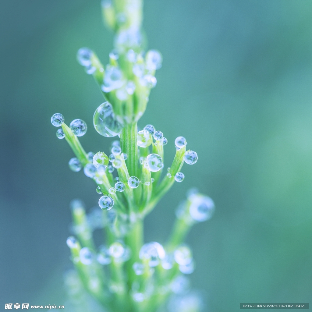 水滴水珠