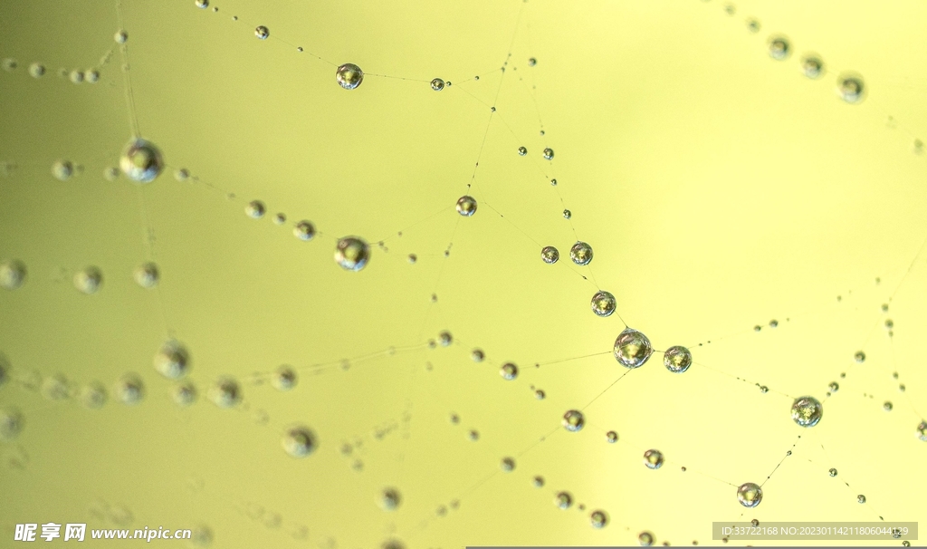 水滴水珠