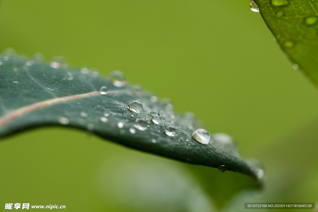 水滴水珠
