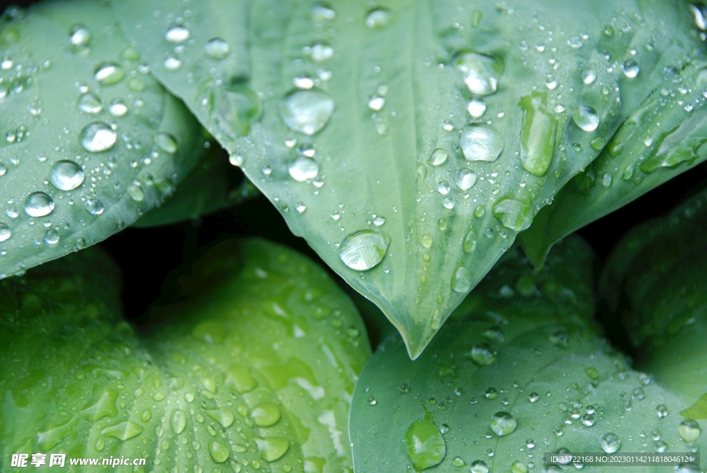 水滴水珠