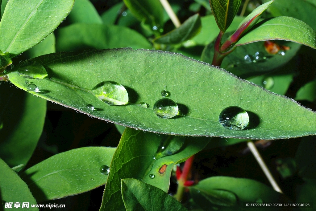 水滴水珠