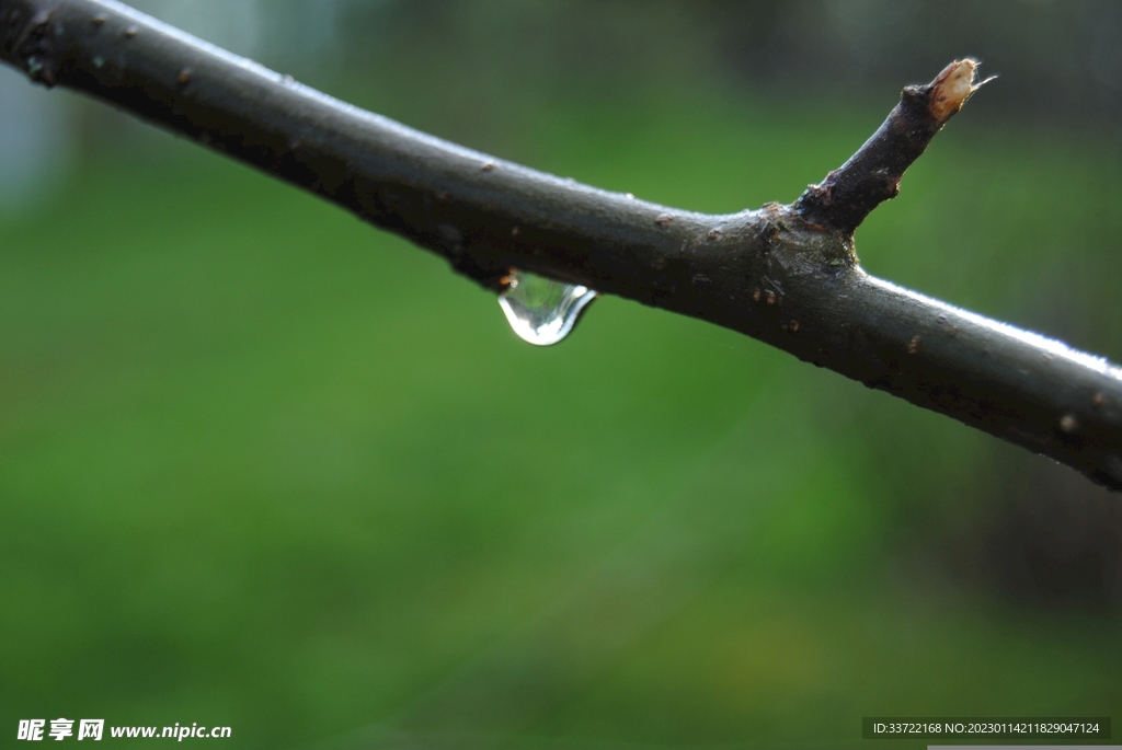 水滴水珠