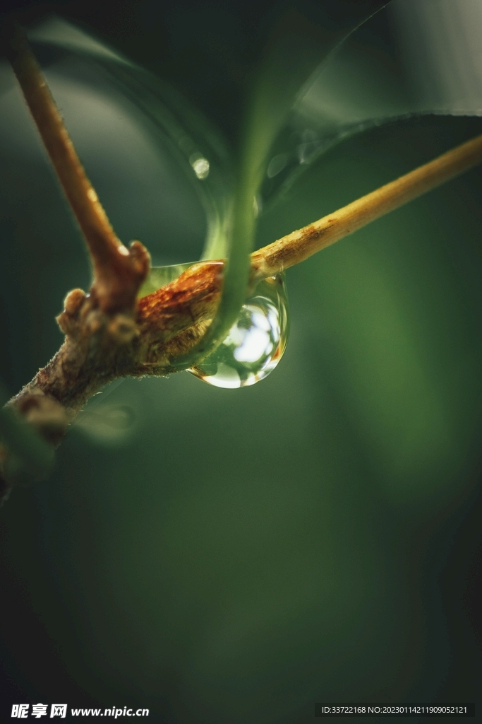 水滴水珠