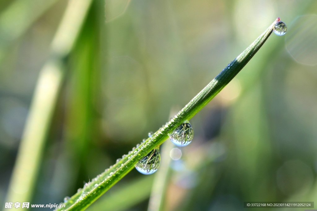水滴水珠