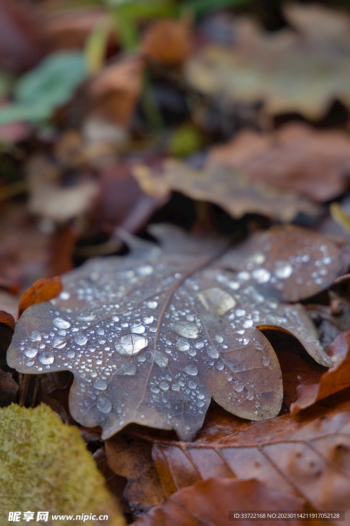 水滴水珠
