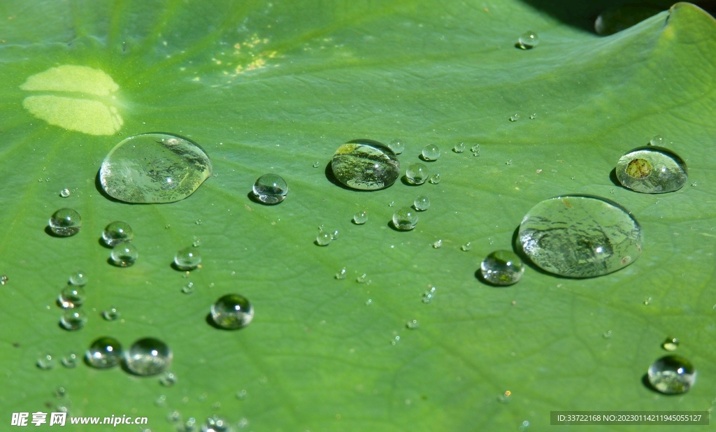 水滴水珠