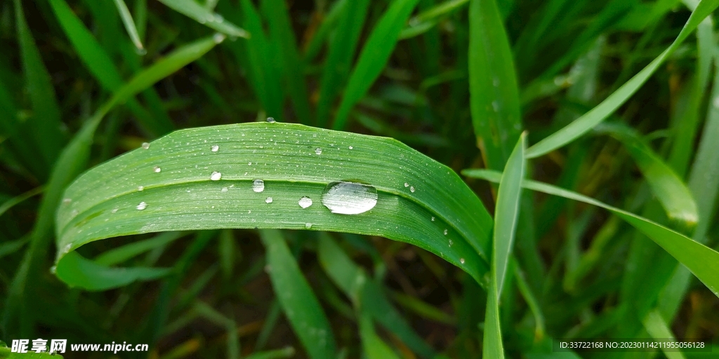 水滴水珠