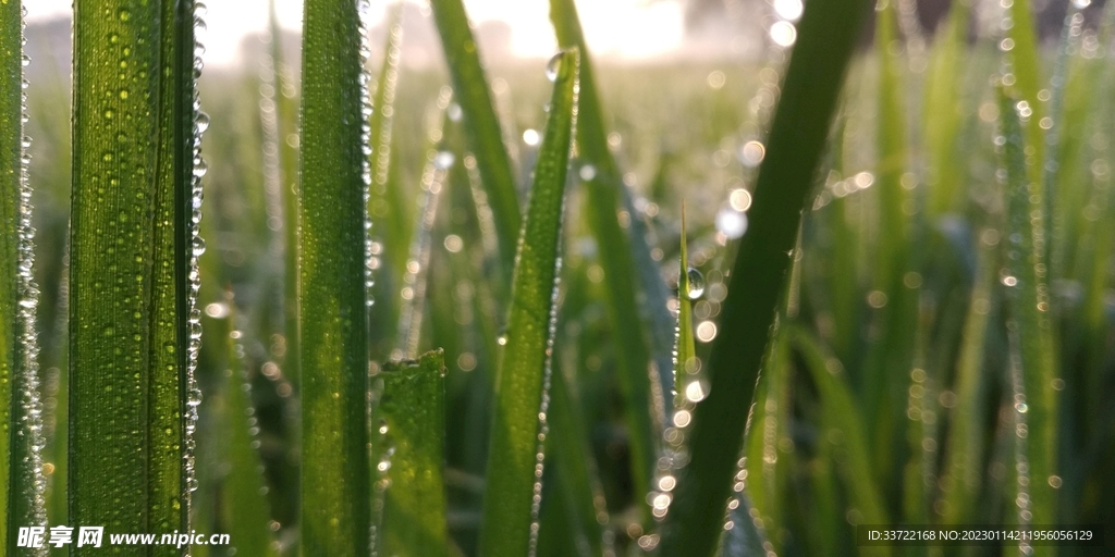 水滴水珠