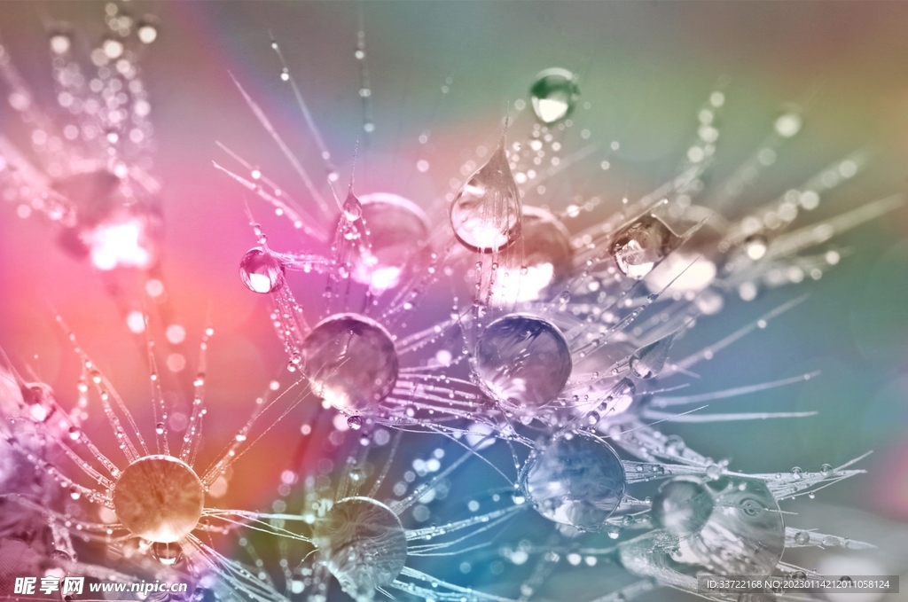 水滴水珠