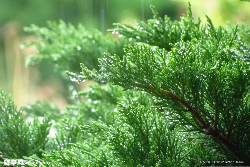 水滴水珠