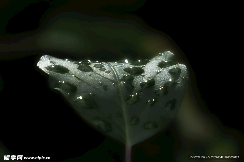 水滴水珠