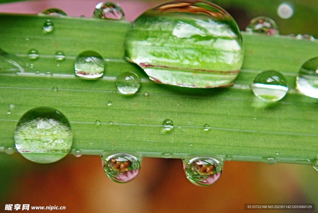 水滴水珠