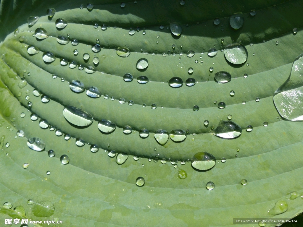 水滴水珠