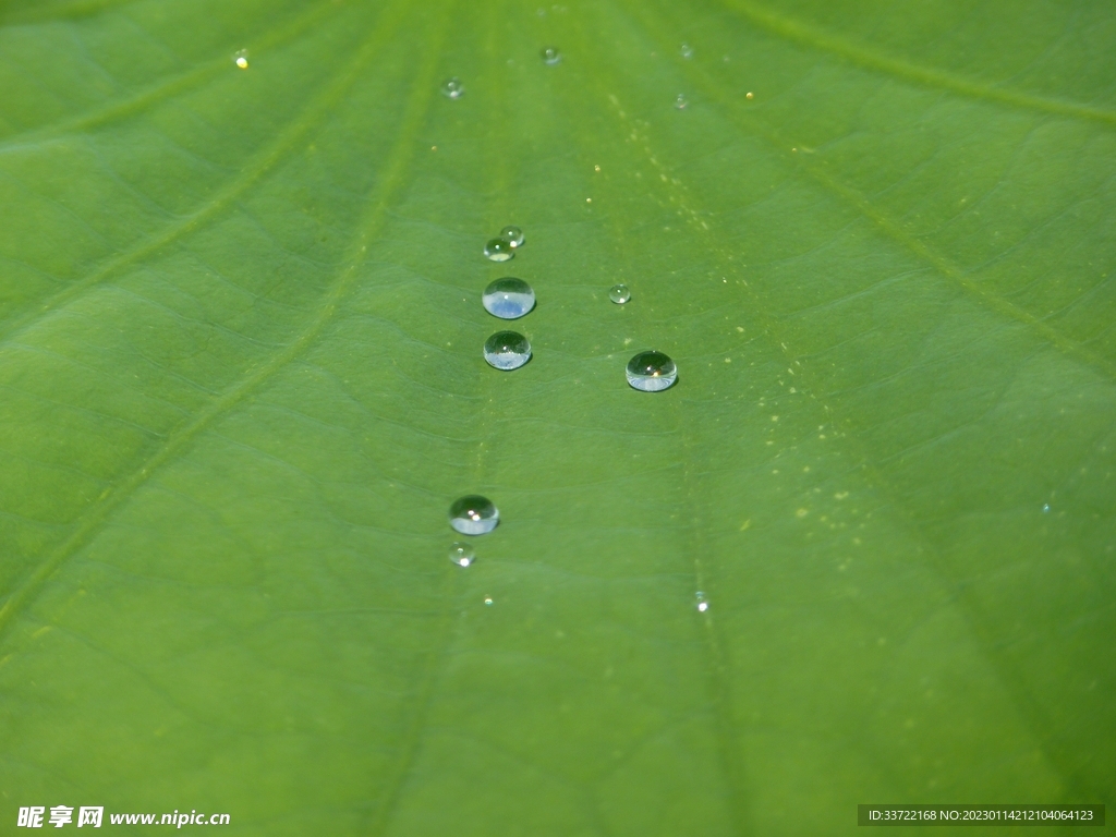 水滴水珠