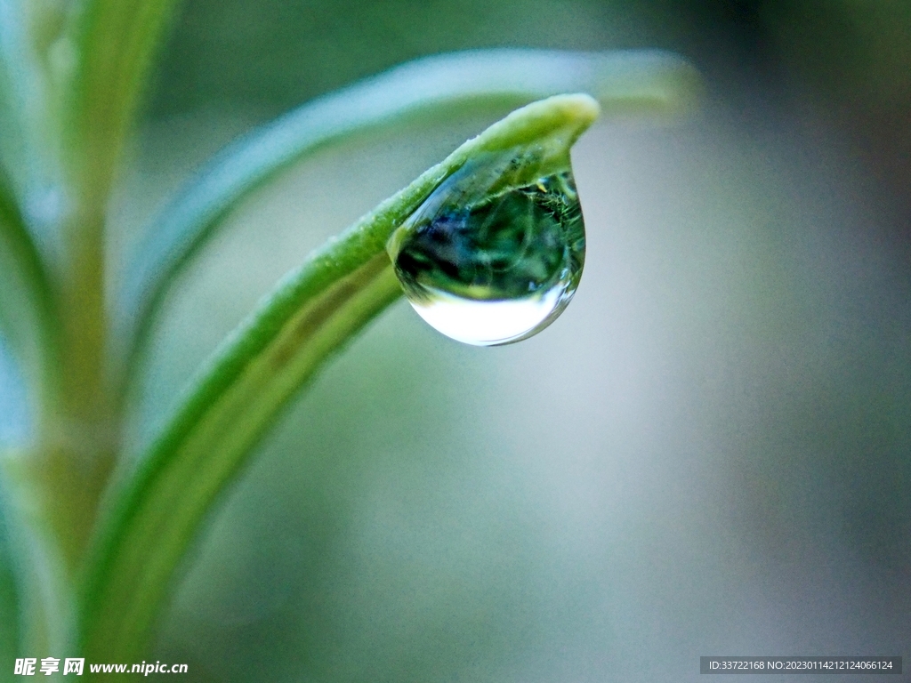 水滴水珠