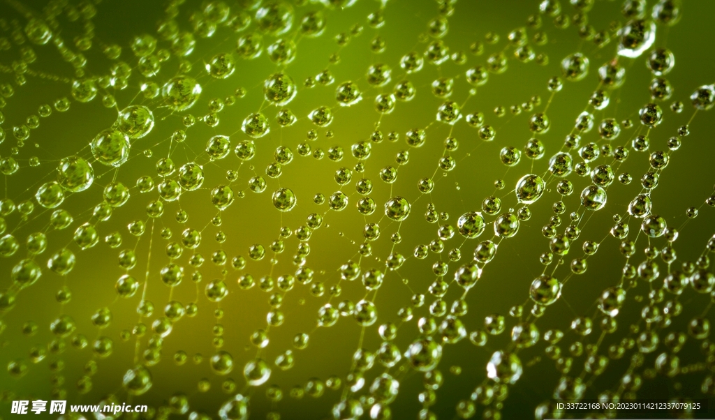 水滴水珠