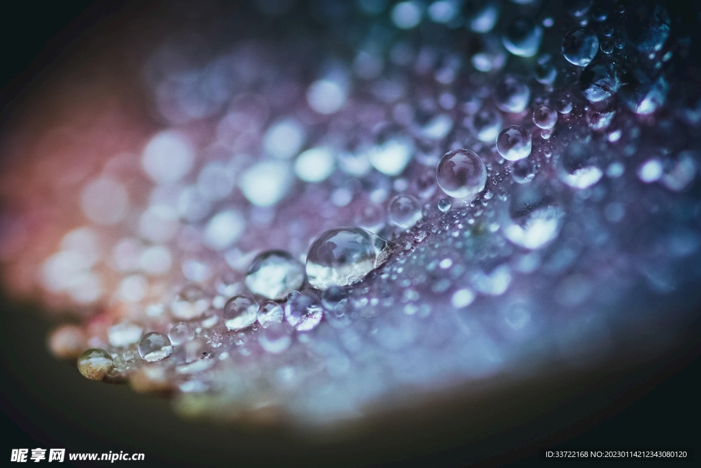 水滴水珠