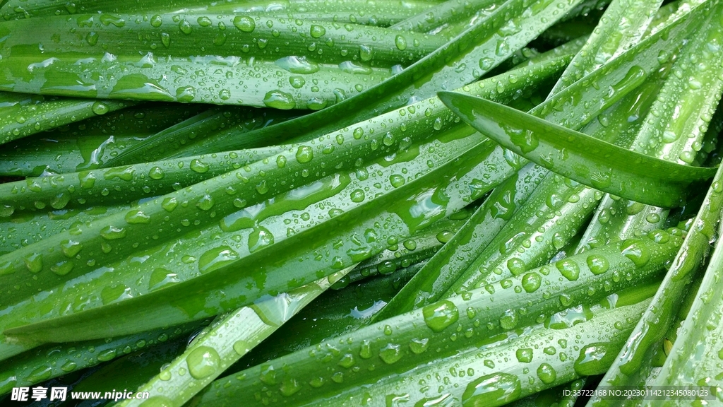 水滴水珠