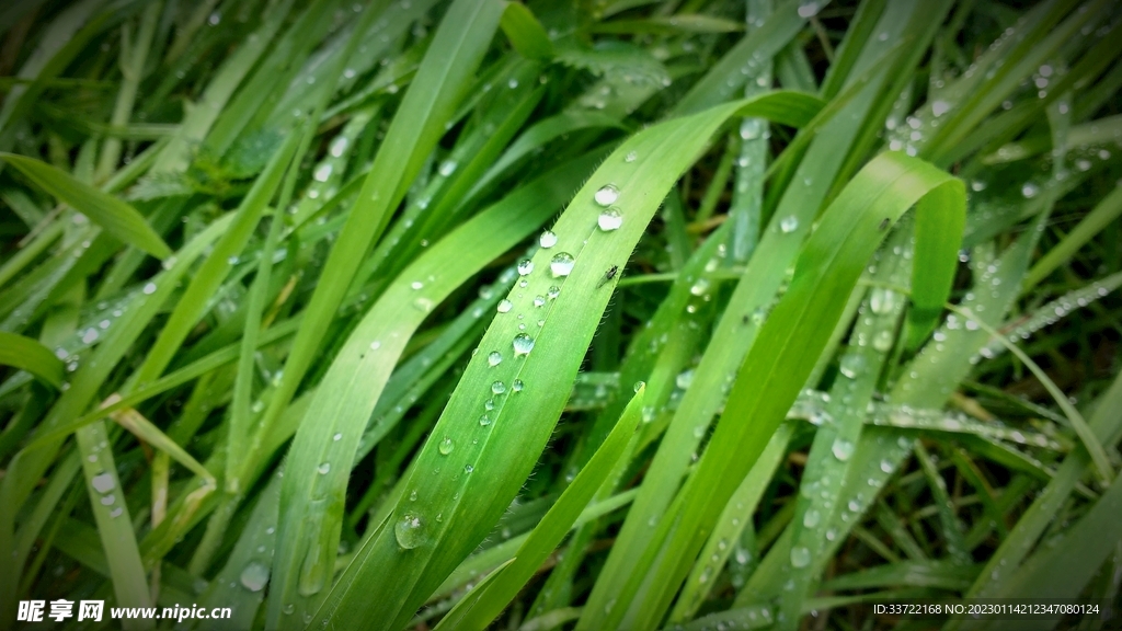 水滴水珠