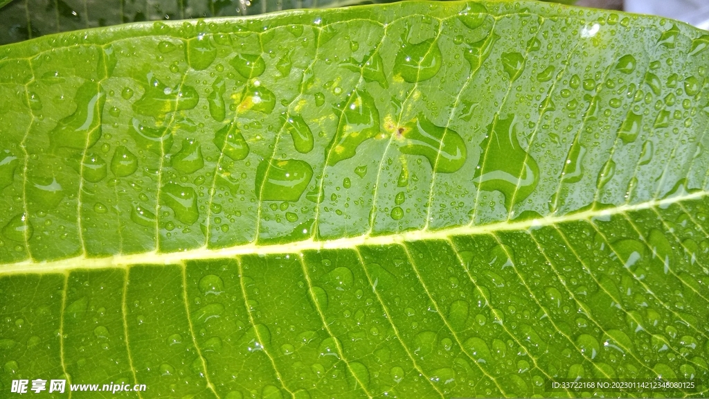 水滴水珠