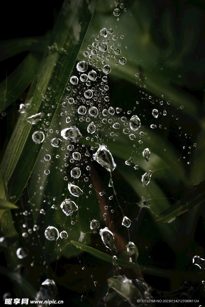 水滴水珠