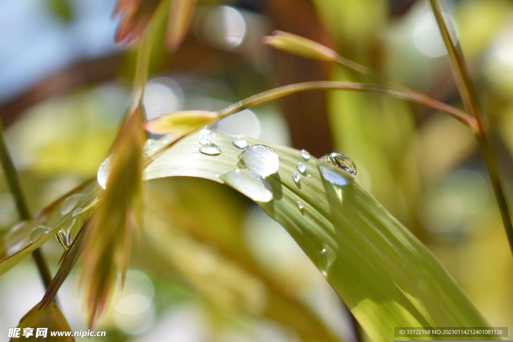 水滴水珠