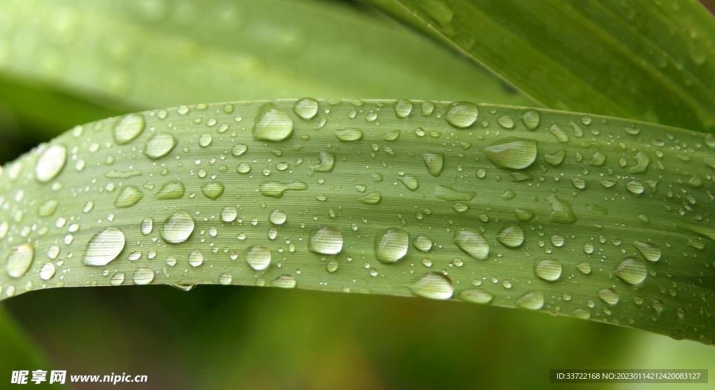 水滴水珠