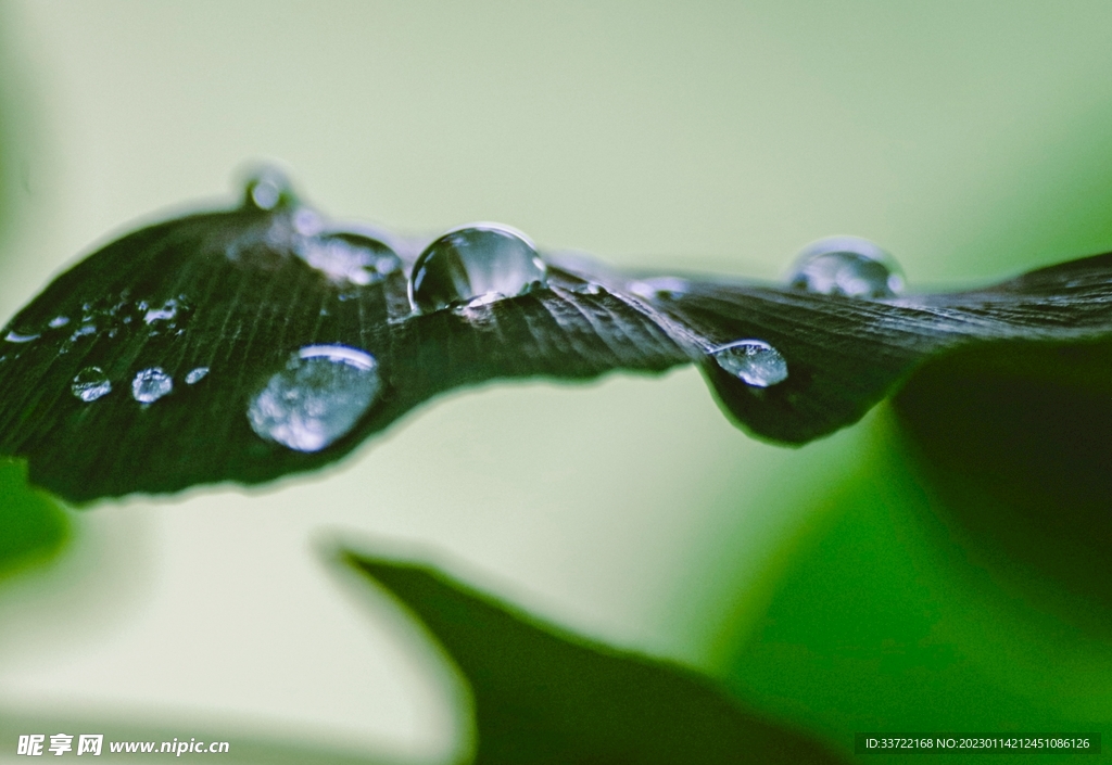 水滴水珠