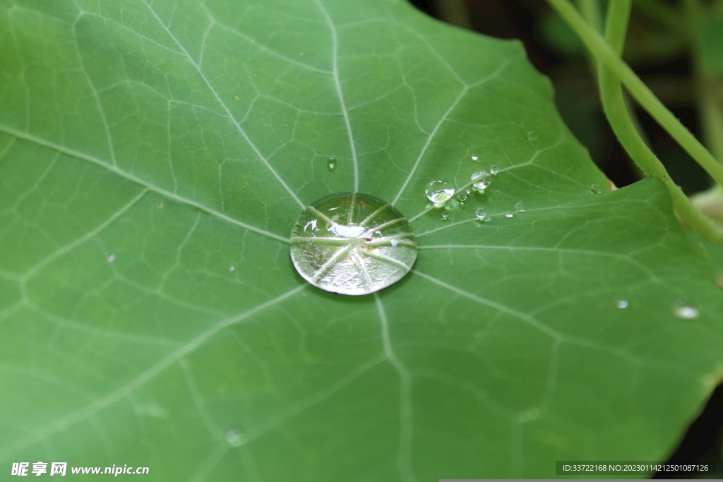 水滴水珠