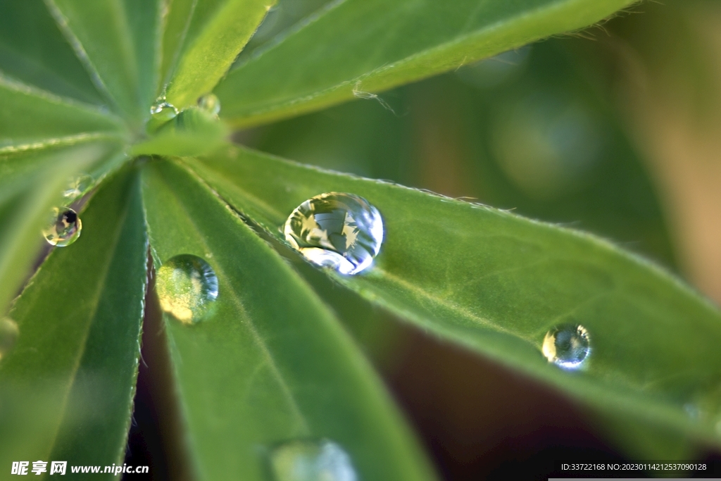 水滴水珠