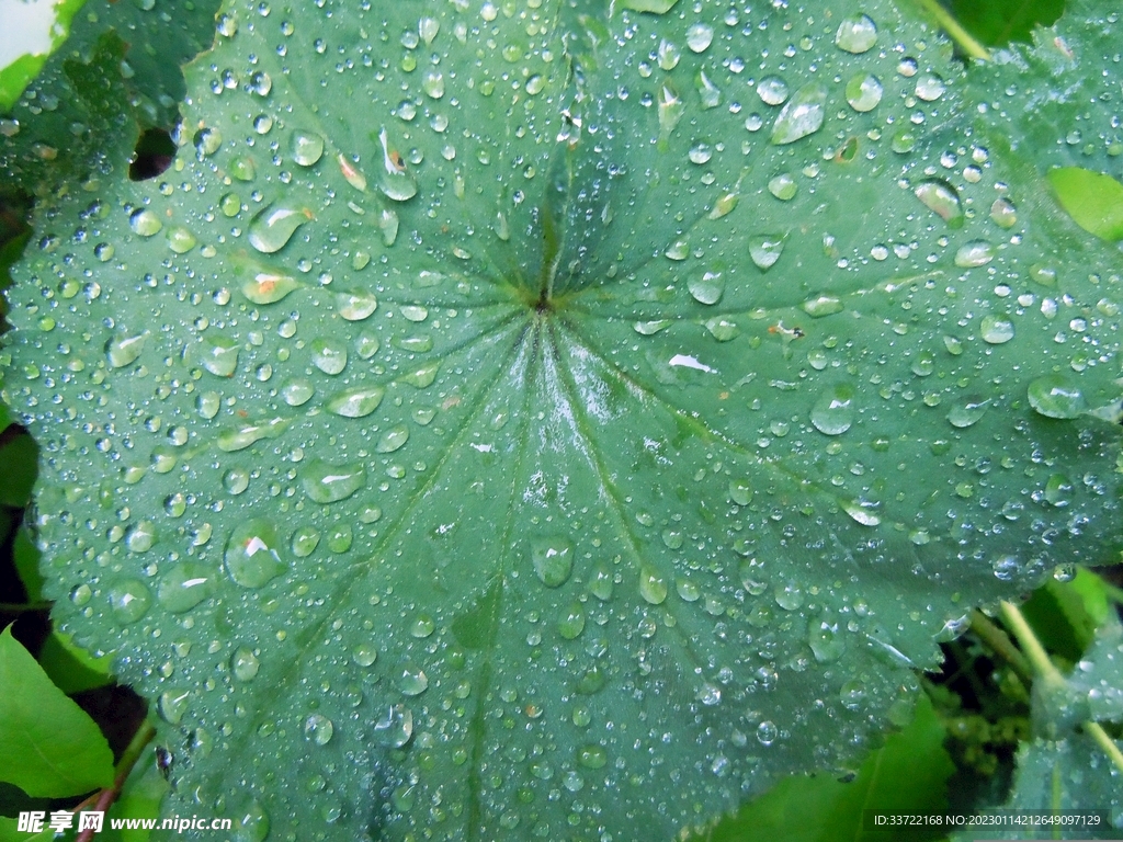 水滴水珠