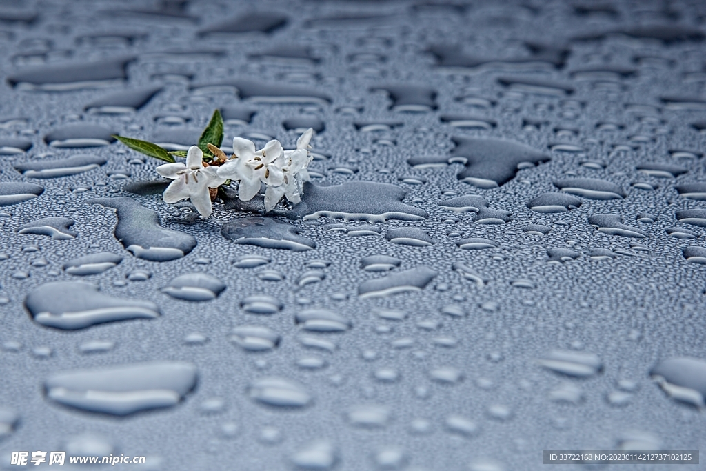 水滴水珠