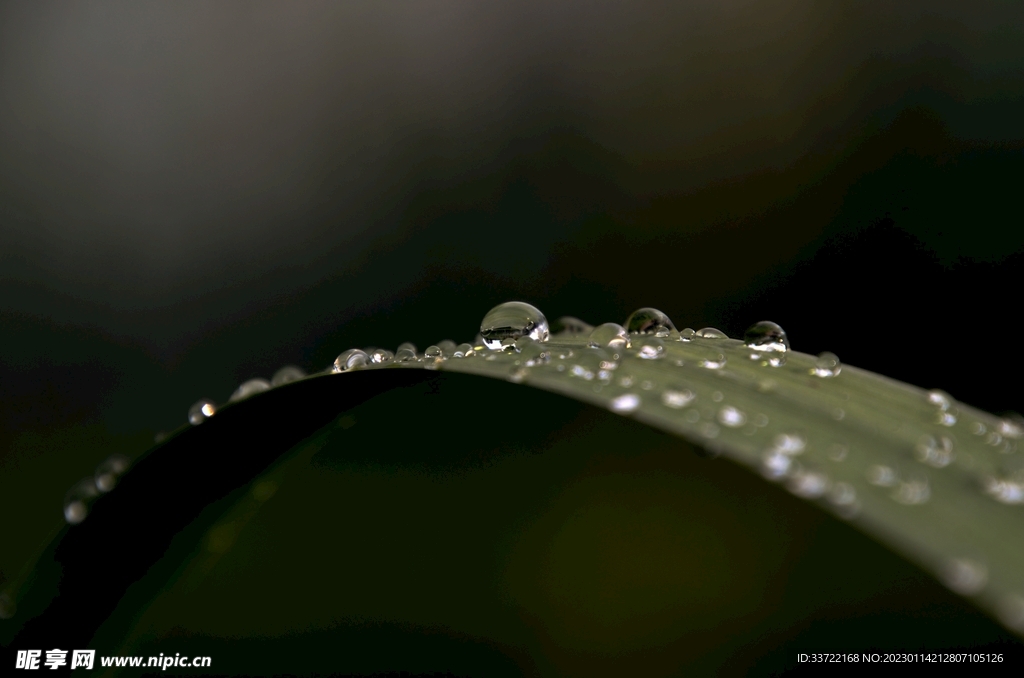 水滴水珠