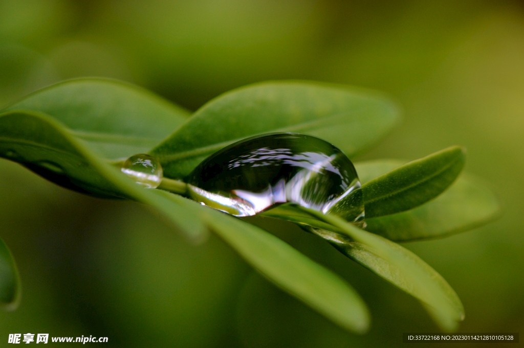 水滴水珠