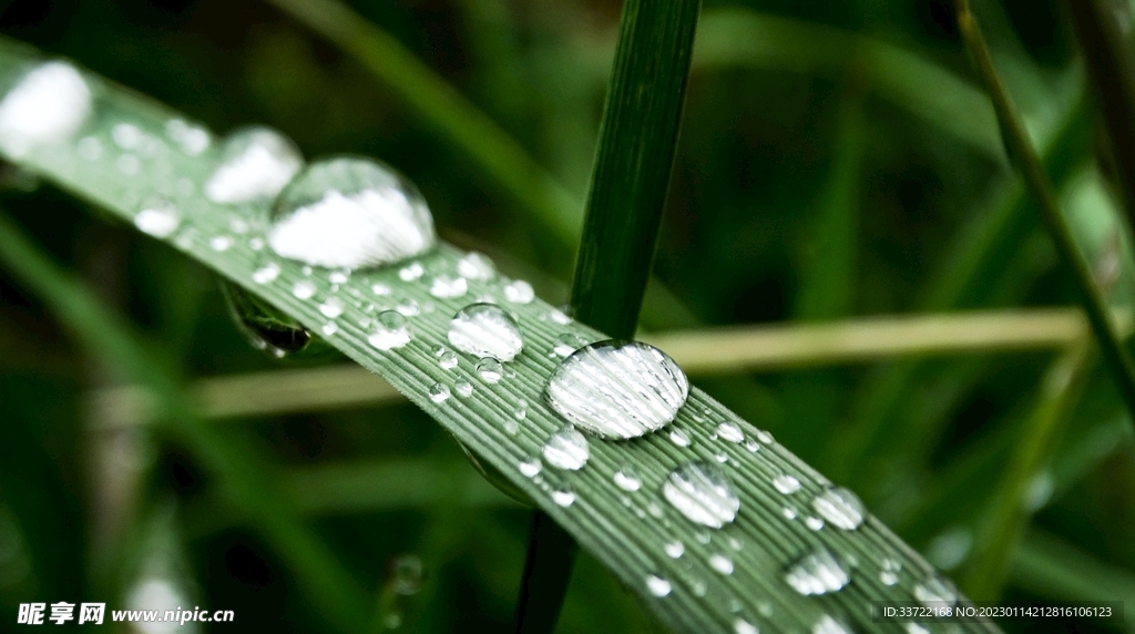 水滴水珠