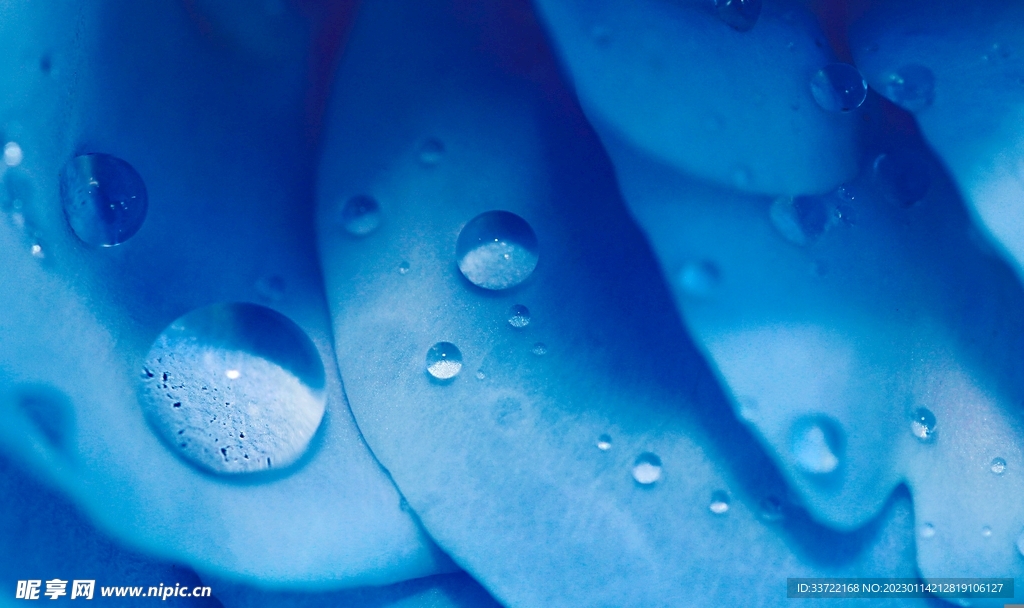 水滴水珠