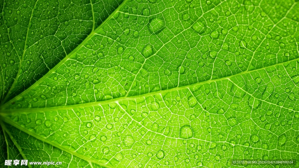 水滴水珠