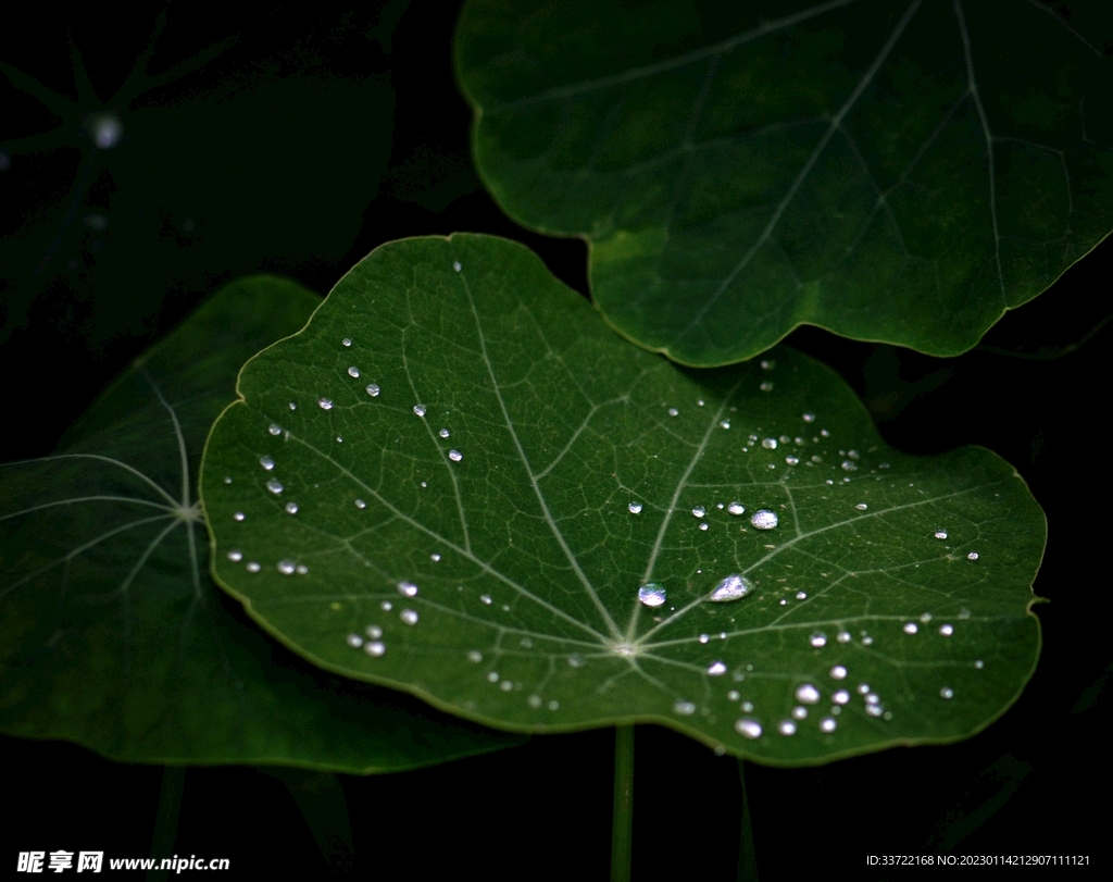 水滴水珠
