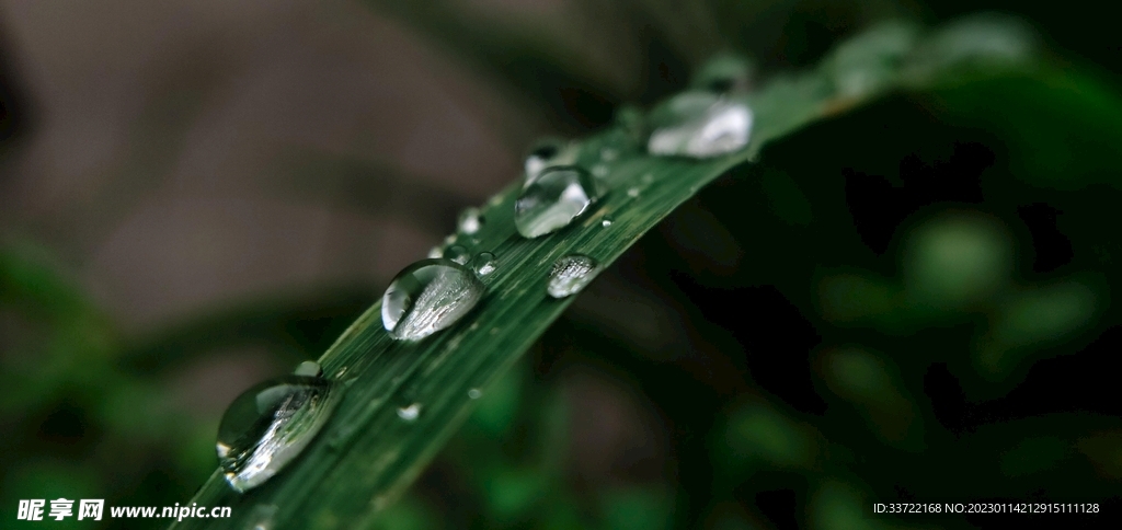 水滴水珠